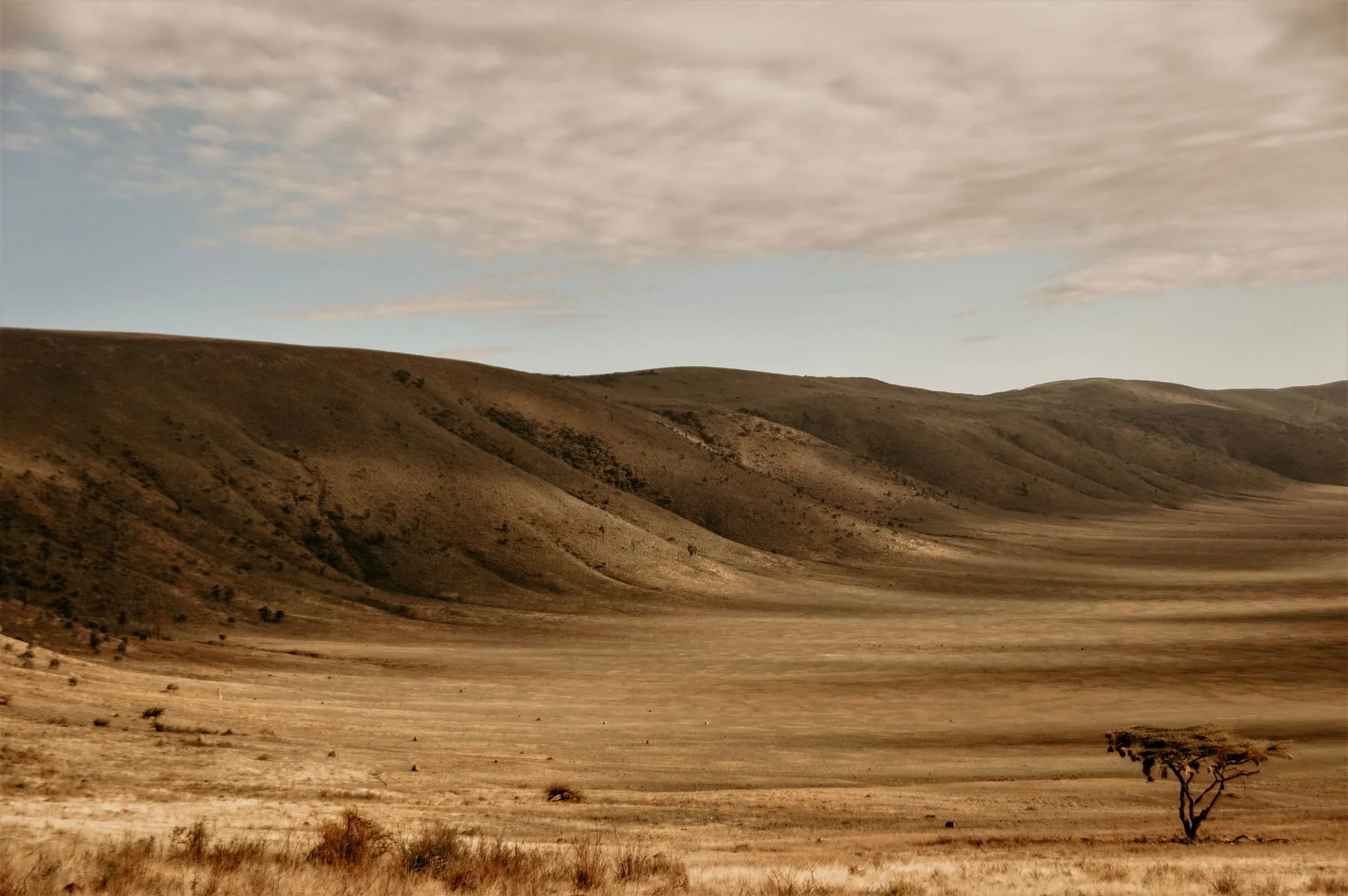 The wonderfull african desert