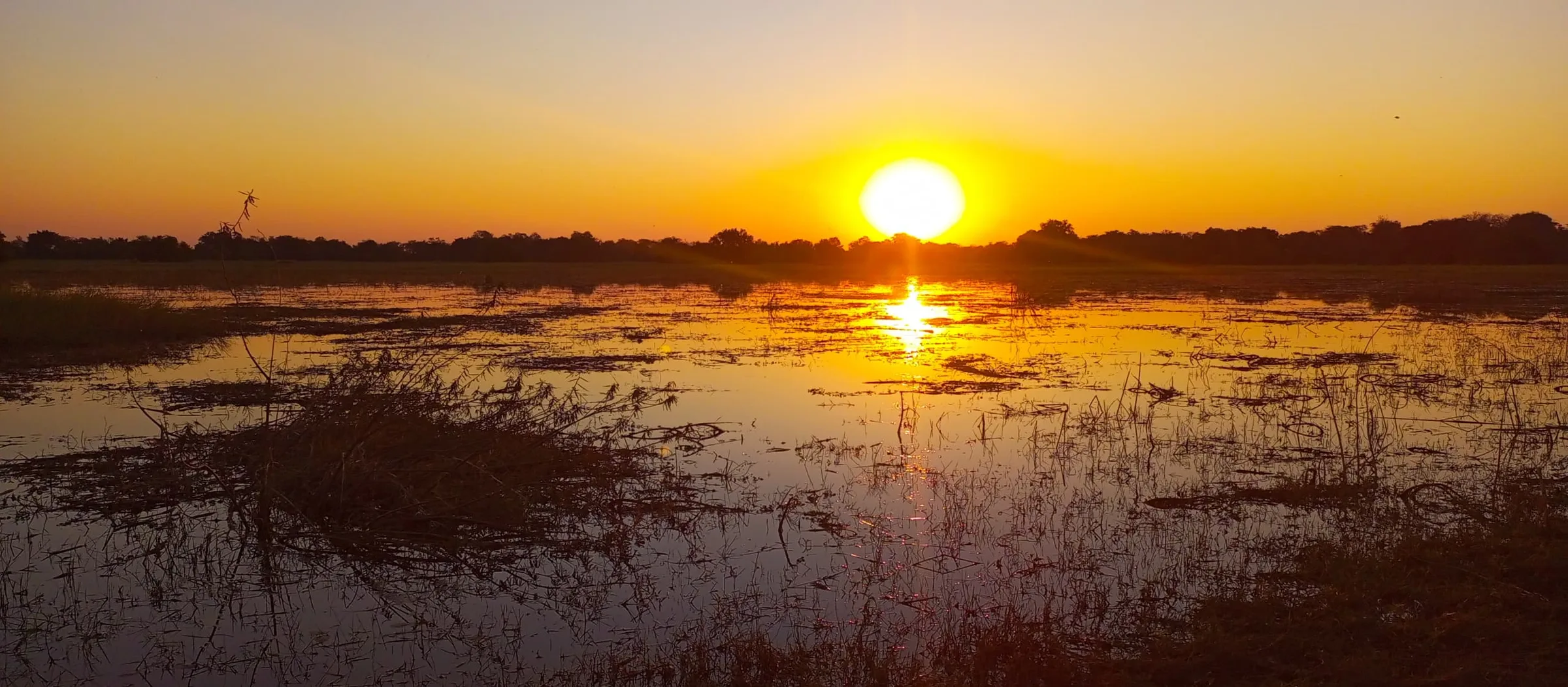 Breath taking sunset visuals in the Okavango. In deed a special moment for safari sunset lovers.