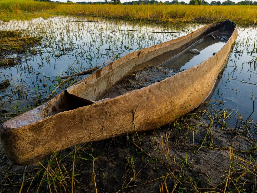 After many years of service along the Okavango Delta. This Mokoro has seen more tourists, guides and water creatures than any other. Now on its knees, its a job well done.